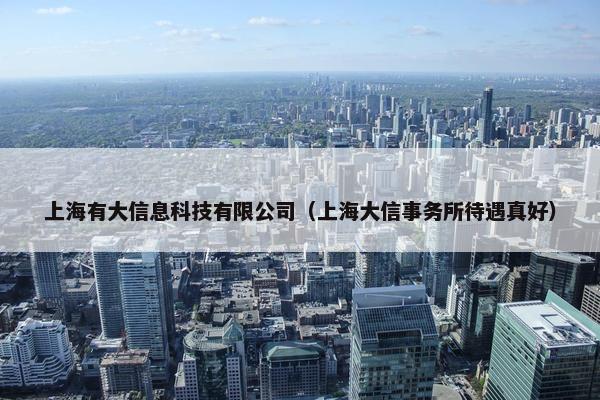 上海有大信息科技有限公司（上海大信事务所待遇真好）