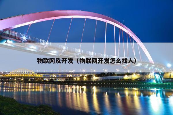 物联网及开发（物联网开发怎么找人）