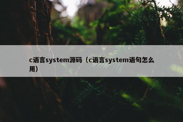 c语言system源码（c语言system语句怎么用）