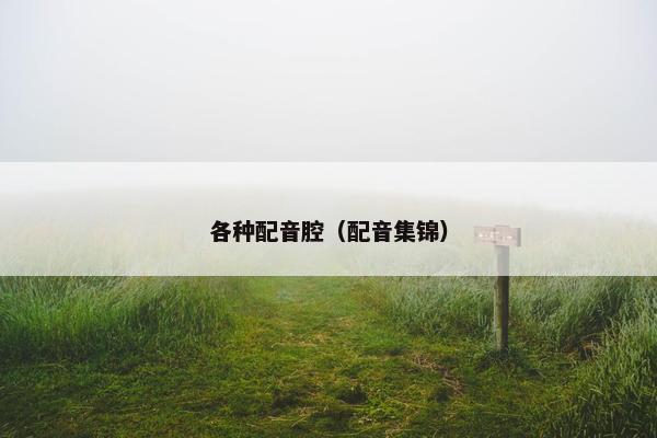 各种配音腔（配音集锦）