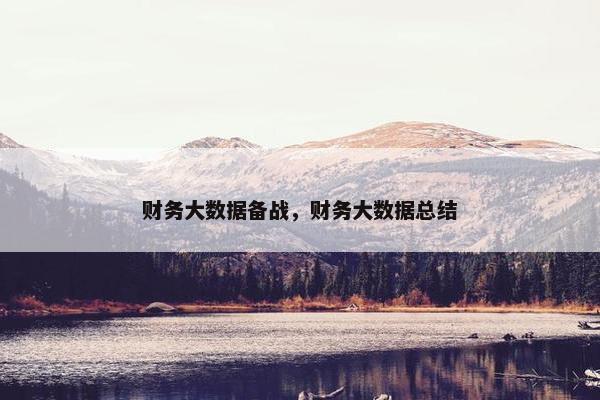 财务大数据备战，财务大数据总结