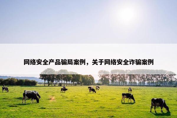 网络安全产品骗局案例，关于网络安全诈骗案例