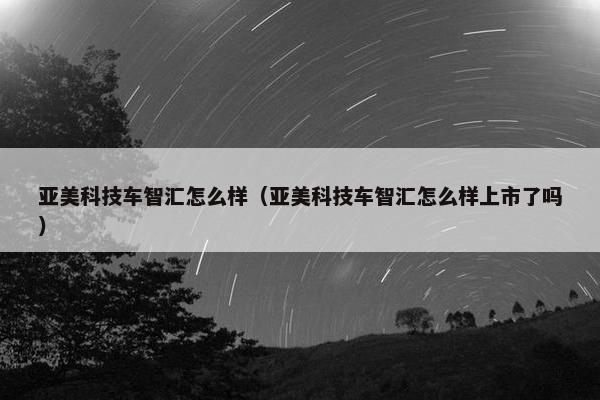 亚美科技车智汇怎么样（亚美科技车智汇怎么样上市了吗）
