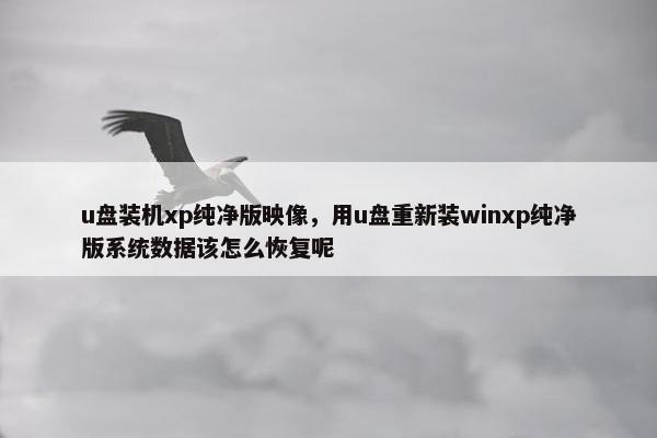 u盘装机xp纯净版映像，用u盘重新装winxp纯净版系统数据该怎么恢复呢