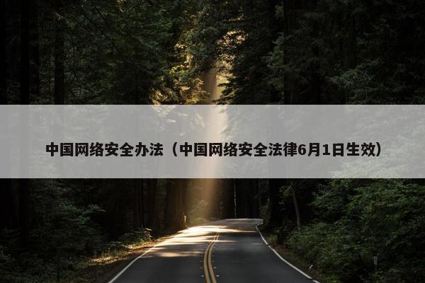 中国网络安全办法（中国网络安全法律6月1日生效）