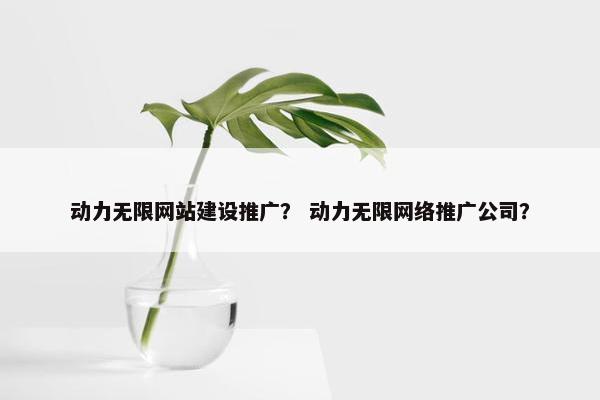 动力无限网站建设推广？ 动力无限网络推广公司？