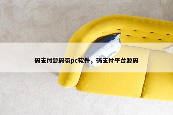 码支付源码带pc软件，码支付平台源码