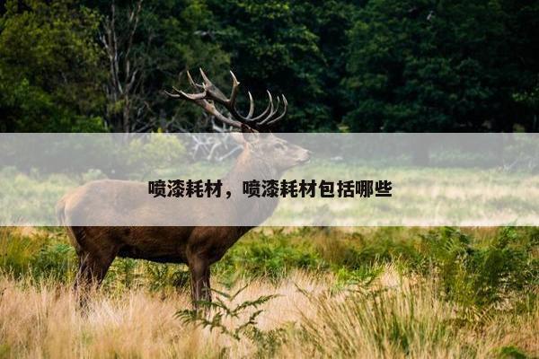 喷漆耗材，喷漆耗材包括哪些
