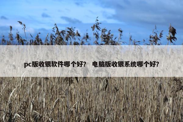 pc版收银软件哪个好？ 电脑版收银系统哪个好？
