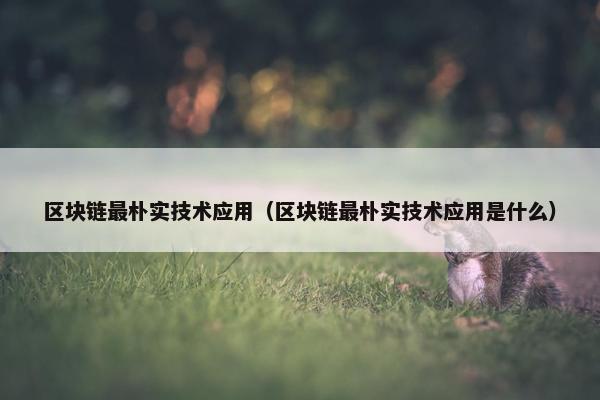 区块链最朴实技术应用（区块链最朴实技术应用是什么）
