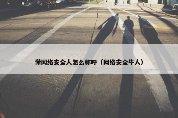 懂网络安全人怎么称呼（网络安全牛人）