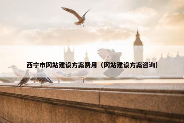 西宁市网站建设方案费用（网站建设方案咨询）