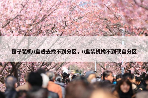 橙子装机u盘进去找不到分区，u盘装机找不到硬盘分区