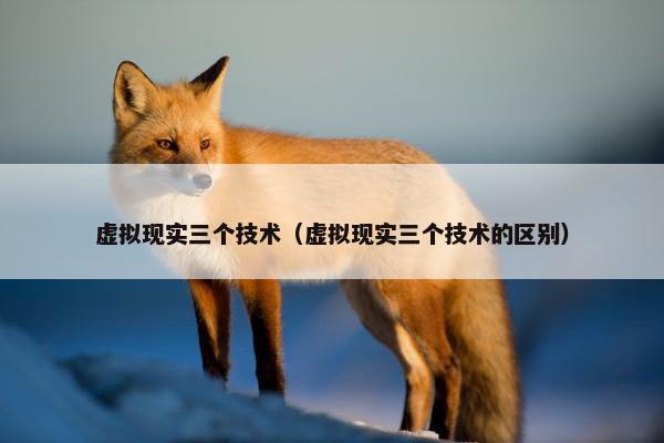虚拟现实三个技术（虚拟现实三个技术的区别）
