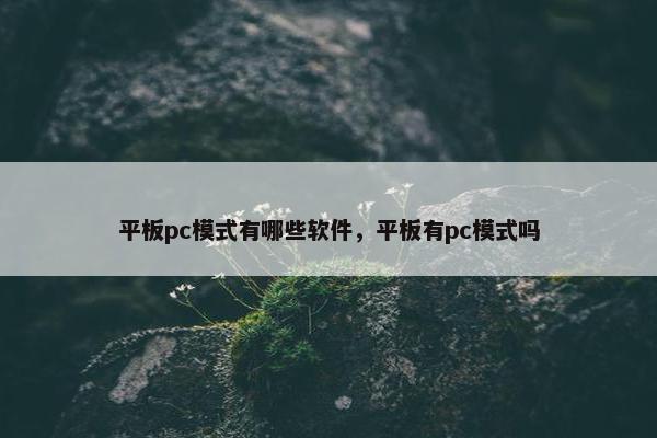 平板pc模式有哪些软件，平板有pc模式吗