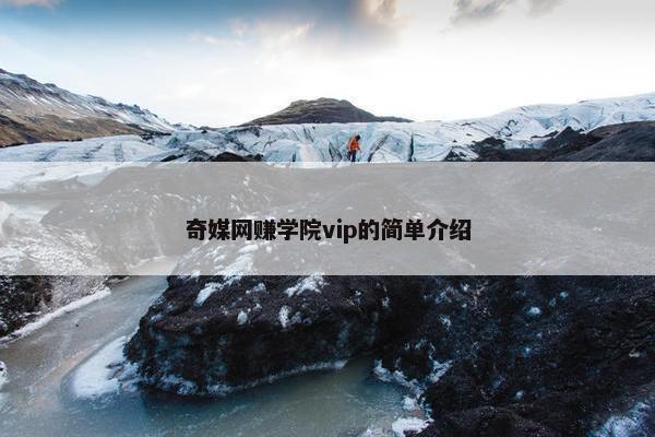 奇媒网赚学院vip的简单介绍
