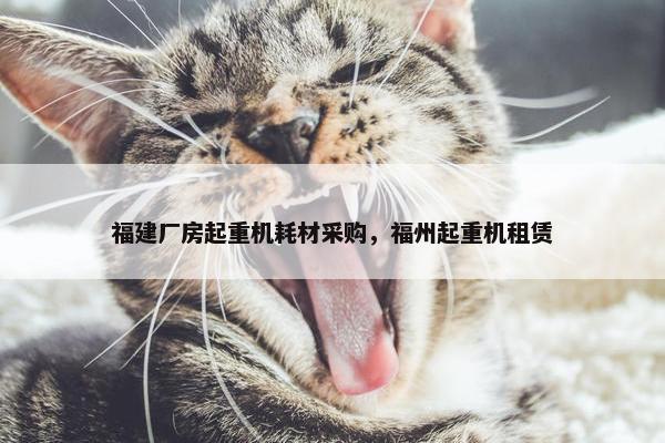 福建厂房起重机耗材采购，福州起重机租赁