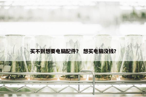 买不到想要电脑配件？ 想买电脑没钱？