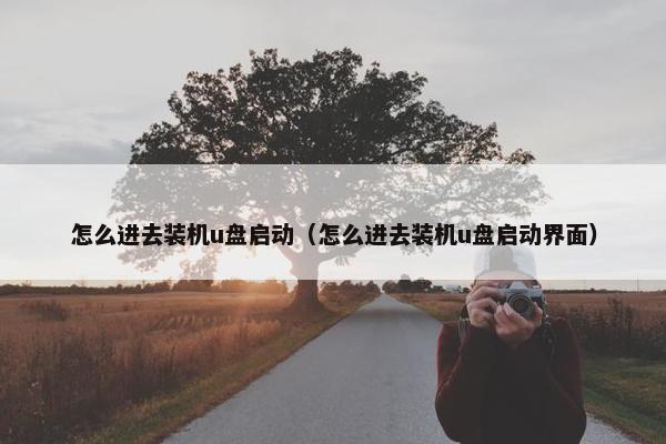 怎么进去装机u盘启动（怎么进去装机u盘启动界面）