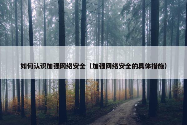 如何认识加强网络安全（加强网络安全的具体措施）