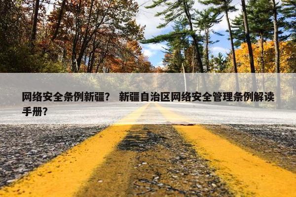 网络安全条例新疆？ 新疆自治区网络安全管理条例解读手册？