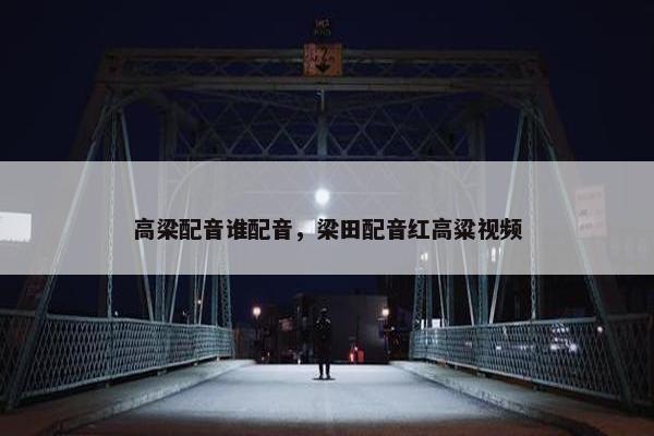 高梁配音谁配音，梁田配音红高粱视频