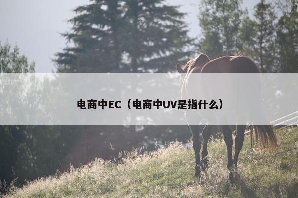 电商中EC（电商中UV是指什么）