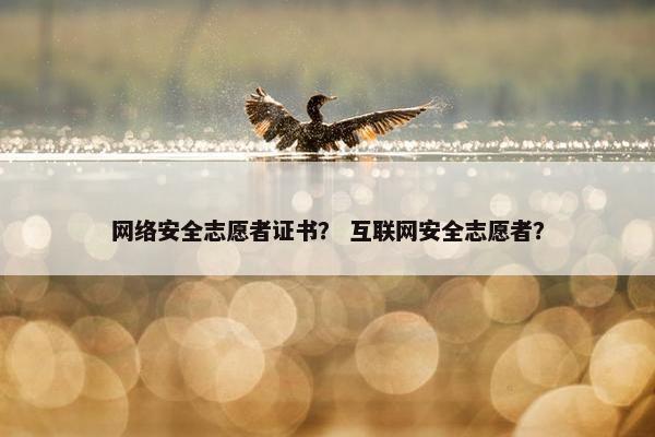 网络安全志愿者证书? 互联网安全志愿者? 网络安全志愿者证书? 互联网安全志愿者?