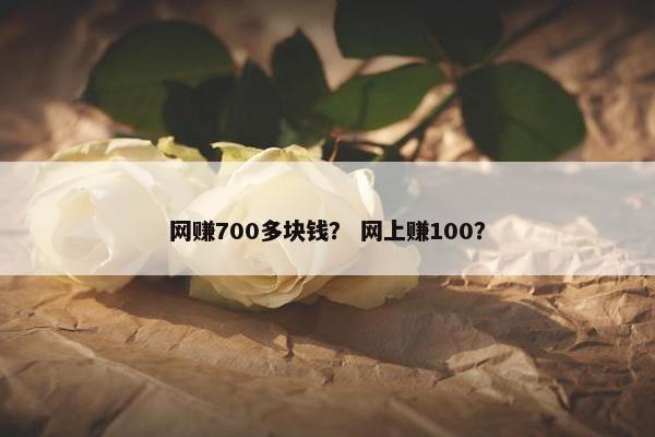 网赚700多块钱？ 网上赚100？