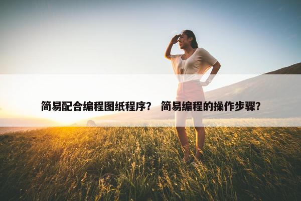 简易配合编程图纸程序？ 简易编程的操作步骤？