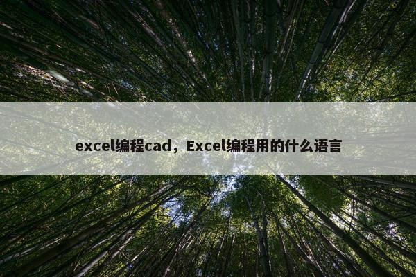 excel编程cad，Excel编程用的什么语言