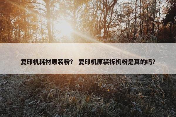 复印机耗材原装粉？ 复印机原装拆机粉是真的吗？