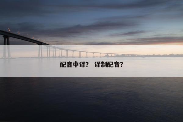 配音中译？ 译制配音？