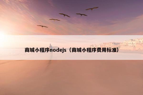 商城小程序nodejs（商城小程序费用标准）