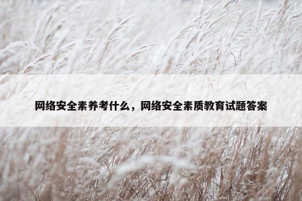 网络安全素养考什么，网络安全素质教育试题答案
