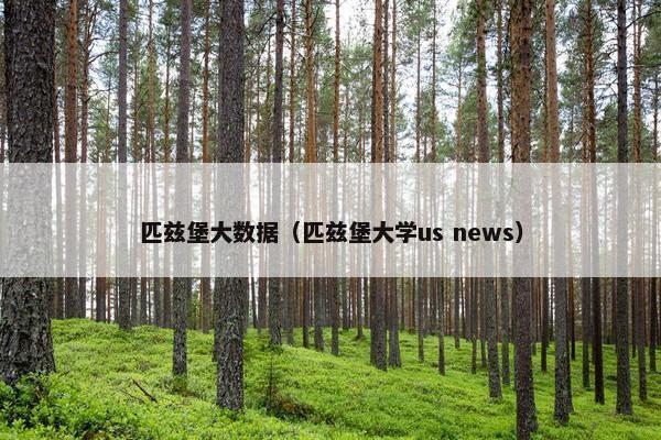 匹兹堡大数据（匹兹堡大学us news）