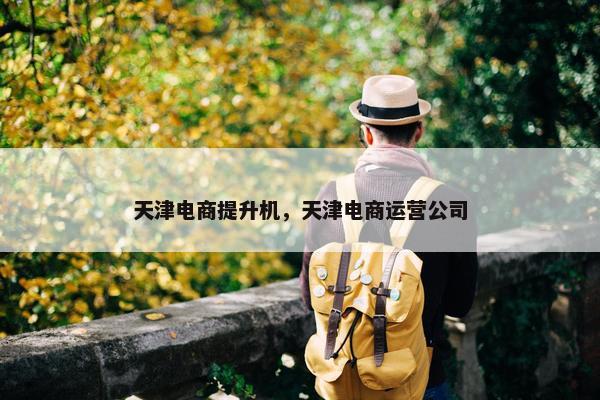 天津电商提升机,天津电商运营公司 天津电商提升机,天津电商运营公司
