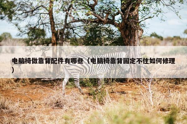 电脑椅做靠背配件有哪些（电脑椅靠背固定不住如何修理）