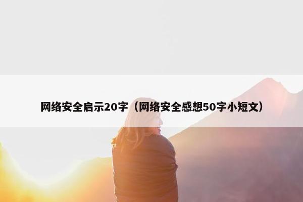 网络安全启示20字（网络安全感想50字小短文）