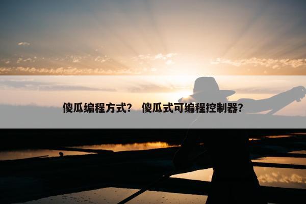 傻瓜编程方式？ 傻瓜式可编程控制器？