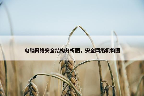 电脑网络安全结构分析图，安全网络机构图
