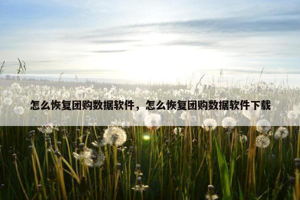 怎么恢复团购数据软件，怎么恢复团购数据软件下载