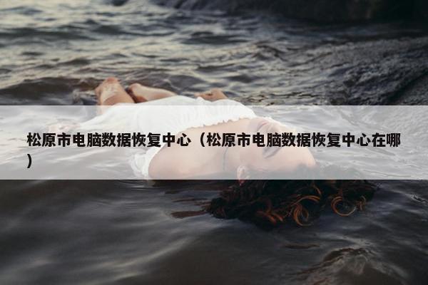 松原市电脑数据恢复中心（松原市电脑数据恢复中心在哪）