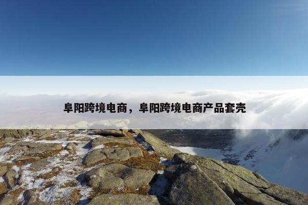 阜阳跨境电商，阜阳跨境电商产品套壳