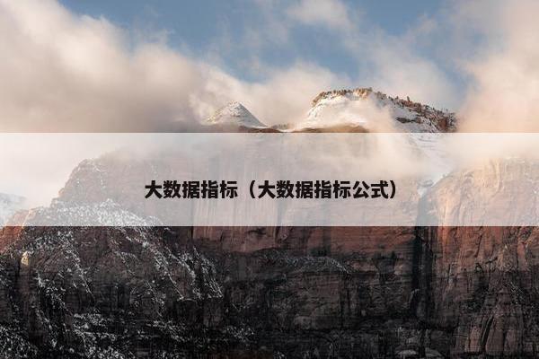 大数据指标（大数据指标公式）