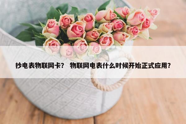 抄电表物联网卡？ 物联网电表什么时候开始正式应用？