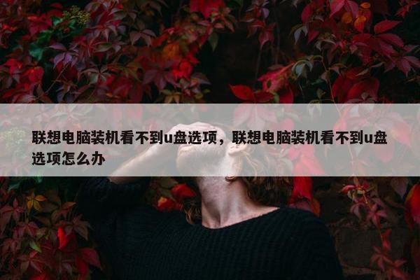 联想电脑装机看不到u盘选项，联想电脑装机看不到u盘选项怎么办