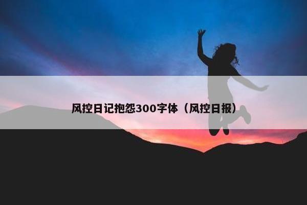 风控日记抱怨300字体（风控日报）