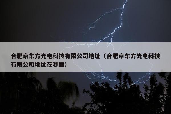 合肥京东方光电科技有限公司地址（合肥京东方光电科技有限公司地址在哪里）