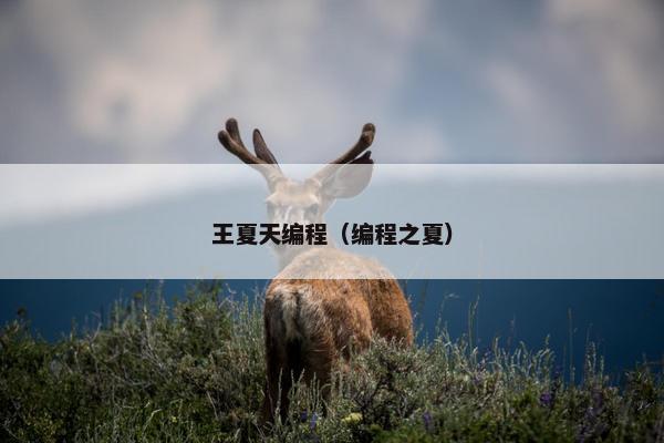 王夏天编程（编程之夏）